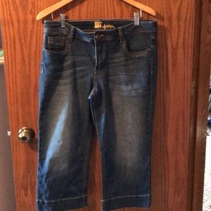 KUT from the Kloth capris.